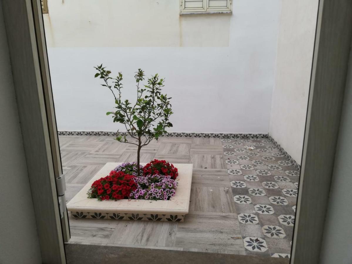 فيلا L'Argonauta لامبيدوزا المظهر الخارجي الصورة